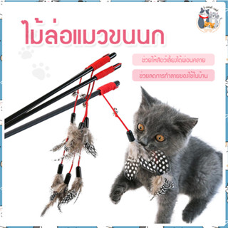 I&amp;CAT ของเล่นแมว ไม้ตกแมว ไม้ล่อแมว ไม้ตกแมวขนนกสีแดง ไม้ตกแมวขนนกลายจุด