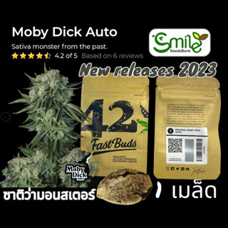 เมล็ดกัญชา Original Moby Dick (Auto) - Fastbuds ใหม่ล่าสุด 2023