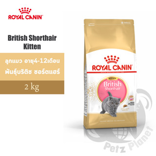 Royal Canin British Shorthair Kitten อาหารแมวรอยัล คานิน สูตรลูกแมวสายพันธุ์บริติชช็อทแฮร์ อายุ4-12เดือน ขนาด2กก.