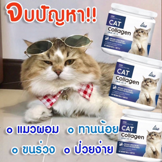 ส่งด่วนฟรีทุกชิ้น #LisaCat #Collagen ผงโรย #อาหารแมว หยุดขนร่วง เพิ่มกล้ามเนื้อ ผสมผงไข่เต่า วิตามินรวม เสริมภูมิคุ้มกัน