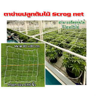 scrog net ตาข่ายปลูกต้นไม้ ดัดกิ่งต้นไม้ เพิ่มผลผลิตมากขึ้น Flexible สามารถยืดหยุ่นได้ ขนาด 90x90 cm