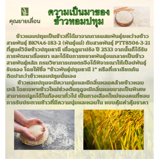 🌾ข้าวหอมปทุม ขนาด 250 กรัม🌾ข้าวออแกนิก 🔥สีข้าวใหม่ทุกวันตามคำสั่งซื้อ 👨‍🌾 จากเกษตรกร จ. พัทลุง