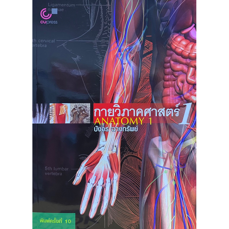 9789749941911 c112 กายวิภาคศาสตร์ 1 (ANATOMY 1)