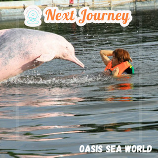 ว่ายน้ำกับโลมา(สายพันธุ์อิรวดี) ที่ Oasis Sea World