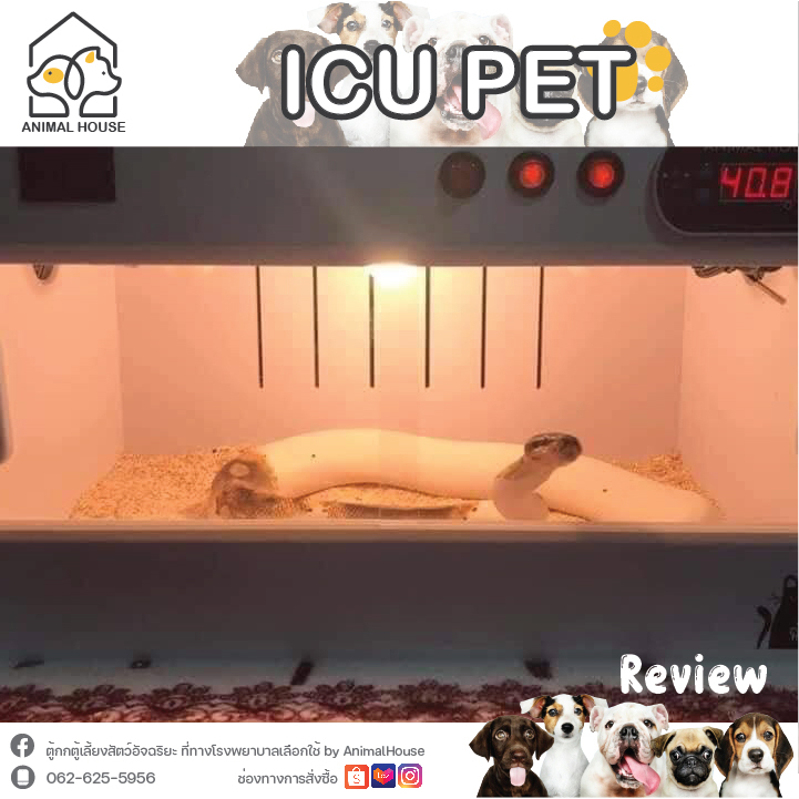 ตู้กกลูกนก ตู้ฟักไข่ ตู้สำหรับสัตว์เลี้ยง Exotic ด้วยระบบควบคุมอัตโนมัติ Size:M - รูปที่ 3