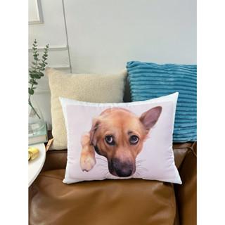 1/20-63 หมอนอิง หมอนหนุน หมอนพิมพ์ภาพสัตว์เลี้ยง หมอนหมา ขนาด28×40cm. Pillowstory