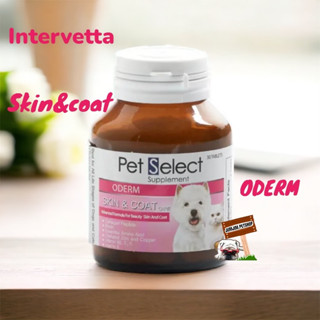 Intervetta Petselect​ skin &amp;​ coat Oderm  สุนัขและแมว วิตามินช่วยบำรุงขน 30เม็ด PET SELECT