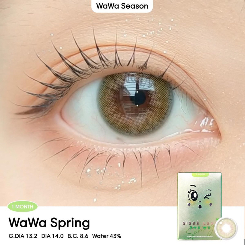Sissè lens WaWa Spring คอนแทคเลนส์รายเดือนนำเข้าจากเกาหลี