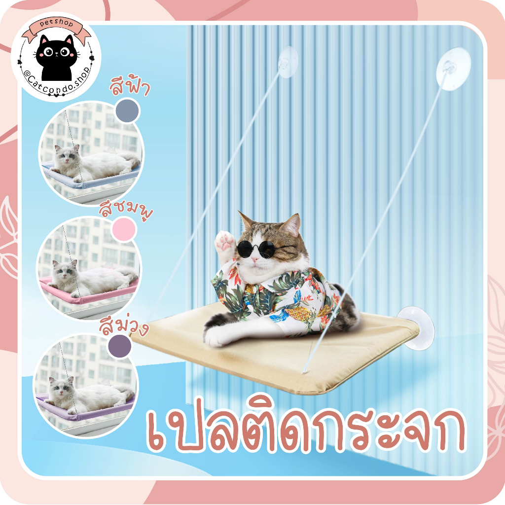 🌵 เปลแมวติดกระจก เปลแมว รับน้ำหนักได้ถึง 20kg เปลสัตว์เลี้ยงสีพาสเทล ที่นอนแมว บ้านแมว 🌵