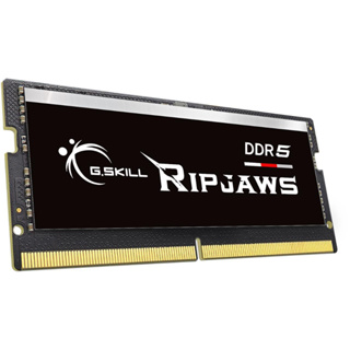 DDR5 G.SKILL Ripjaws 32GB 4800 Mhz (1x32GB) (CL 38-38-38-76) For Notebook รับประกัน Lifetime ศูนย์ไทย