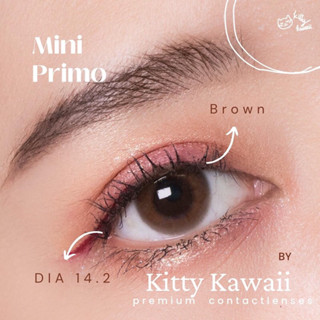 kittykawaii mini primo 🥰