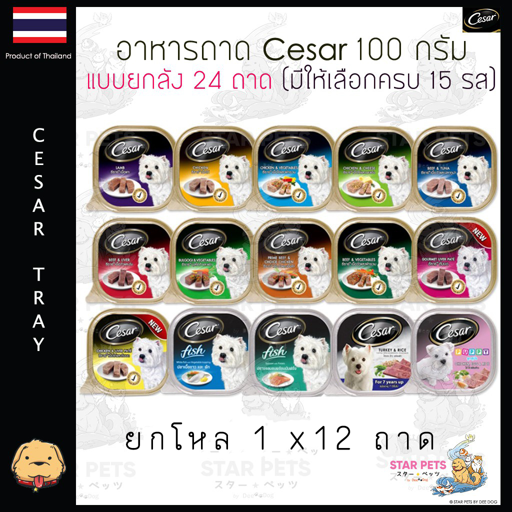 (12ถาด) Cesar ซีซาร์ อาหารสุนัข ขนาด 100กรัม (คละได้) Cesar Tray