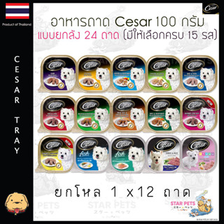 Cesar ซีซาร์ อาหารสุนัข ขนาด 100กรัม x 12ถาด (แบบยกโหล) Cesar Tray *มี 13 รส*