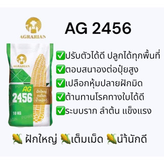 เมล็ดพันธุ์ข้าวโพด 3.5 หุน 10 กก.