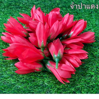 ดอกจำปา ดอกจำปี (ถุงละ 50/100)ดอก