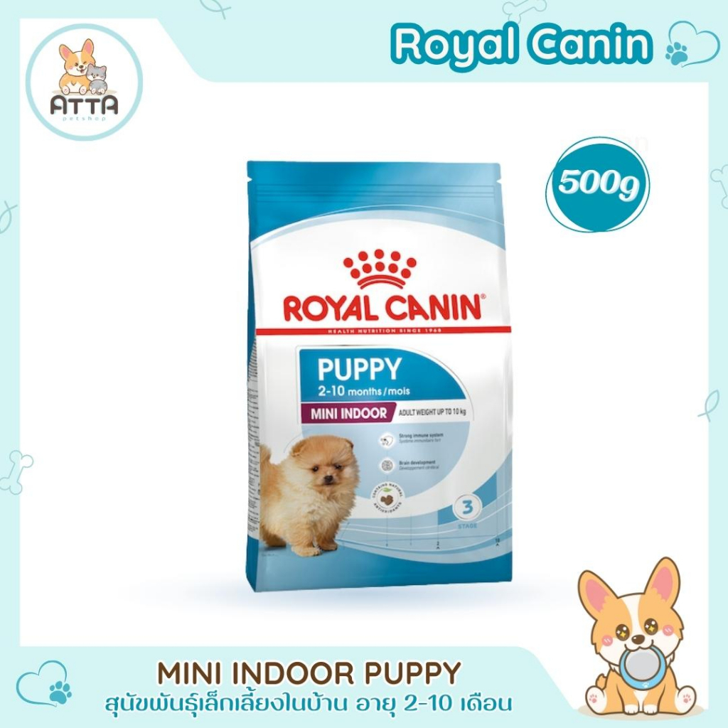 [ClearanceSale] RoyalCanin 🐶 Mini Indoor Puppy 500g สำหรับลูกสุนัขพันธุ์เล็กเลี้ยงในบ้าน