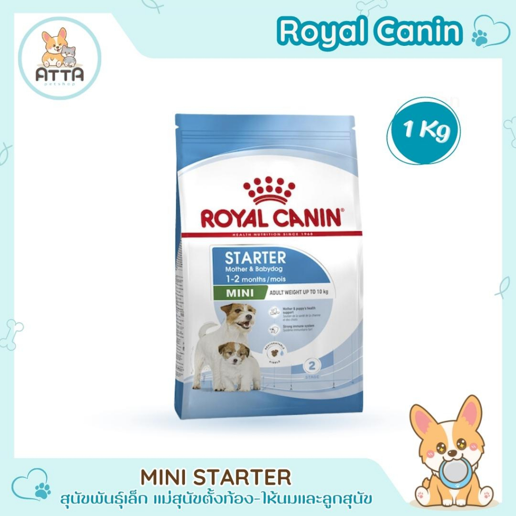 [ClearanceSale] RoyalCanin 🐶 Mini Starter 1kg สำหรับแม่สุนัขพันธุ์เล็กที่ตั้งท้อง-ให้นมและลูกสุนัข