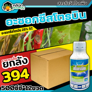 🥬 💥💥 สินค้ายกลัง 💥💥 สโตรบิน (อะซ็อกซีสโตรบิน) บรรจุ 1ลัง 500ซีซี*12ขวด  ป้องกันเชื้อรากาบใบแห้ง แอนแทรคโนส