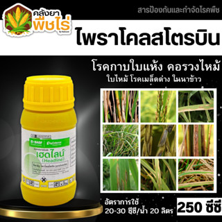 🌽 เฮดไลน์ (ไพราโคสโตรบิน 25%) 250ซีซี สารป้องกันกำจัดโรคพืชประสิทธิภาพสูง