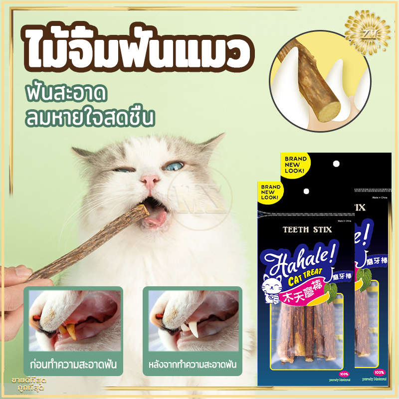 ไม้ขัดฟันแมว กัญชาแมว(5แท่ง)ขัดฟันแมว ของเล่นแมว ขัดฟันสัตว์เลี้ยง ผลิตจากธรรมชาติ 100% ไม่ใส่สารอันตรายต่อน้องแมว