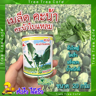 เมล็ดผักคะน้า 20 กรัม ตรารถถัง 🍃 ผักคะน้า  เมล็ดพันธุ์ ผักคะน้าใบแหลม  เมล็ดพันธุ์ผักสวนครัว เมล็ดคะน้า อัตราการงอกสูง