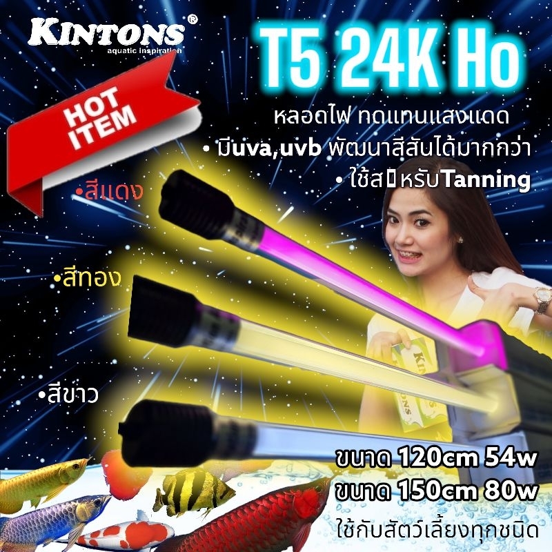 T5 Ho Channing หลอดไฟแทนนิ่ง หลอดไฟสำหรับปลาหัวทอง