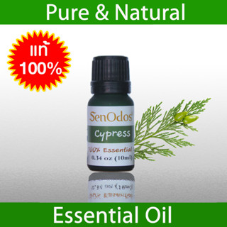 SenOdos น้ำมันหอมระเหยแท้ 100% กลิ่นไซเปรสซ์ Cypress 100% Pure Essential Oil 10 ml.