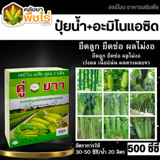 🌽 คู่ยาว (อะมิโนแอซิด) 500ซีซี+500ซีซี ยืดช่อ ติดดก แตกแขนงดี ผลไม่งอ