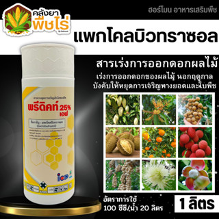 🌽 พรีดิคท์25% (แพกโคลบิวทราซอล) 1ลิตร เร่งออกดอกของผลไม้