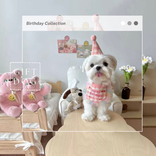 😻พร้อมส่ง🐶หมวกน้องหมาน้องแมว 👒หมวกปาร์ตี้วันเกิดพร้อมผ้าพันคอลายสก็อต🎂