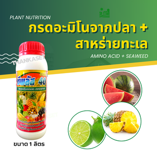 ปุ๋ยปลา กรดอะมิโนพืช +สาหร่าย สกัดจากทะเล รวม 40% อะมิโน ขนาด 1 ลิตร