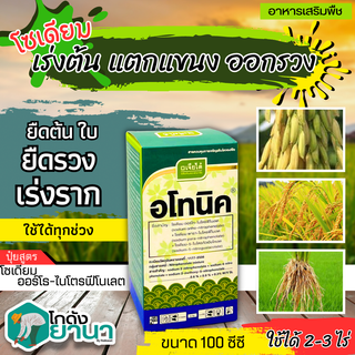 🌾 อโทนิค (โมโนไนโตรฟินอล) ขนาด 100ซีซี แตกยอดใหม่ ขยายผล ฟื้นต้น