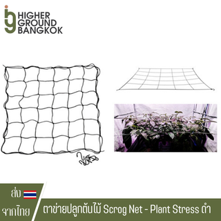 ตาข่ายปลูกต้นไม้ Scrog Net - Plant Stress Training - LST