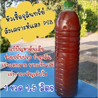 หัวเชื้อจุลินทรีย์สังเคราะห์แสง ขนาด 1.5 ลิตร สูตรเข้มข้น PSB เห็นผลจริง