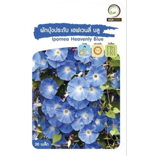 เมล็ดพันธุ์ ดอกไม้ ผักบุ้งประดับ เฮฟเวนลี่ บลู (Ipomea Heavenly Blue)