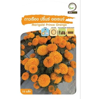 เมล็ดพันธุ์ ดอกไม้ ดาวเรือง ปริ้นซ์ ออเรนจ์ ( Marigold Prince Orange)