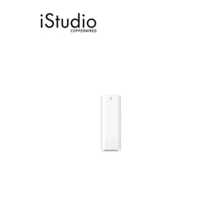 Apple USB-C to Pencil Adapter | iStudio by copperwired