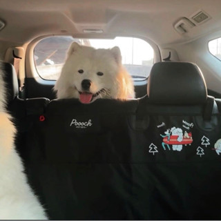 Seat Cover ผ้ารองกันเปื้อนในรถยนต์