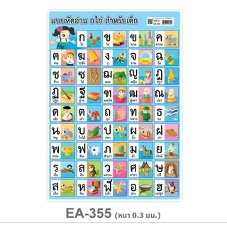 โปสเตอร์พลาสติก PP ก-ฮ, กไก่ ขนาด A4 OST รหัส EA-338,EA-340,EA-355,EA-417,EA-418,EA-420,EA388.