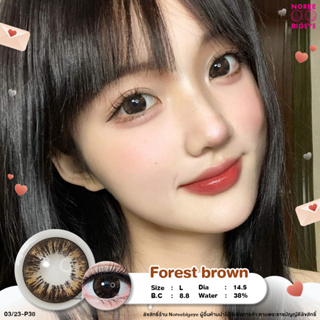 Forest Brown/สีน้ำตาล [สายตาสั้น -0.00 ถึง -10.00] Size Bigeye (L) ขนาดใหญ่ / คอนแทคเลนส์  / ยี่ห้อ PrettyDoll