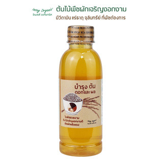 ปุ๋ยน้ำหมักบำรุงต้นดอกผล INSAY ORGANIC (250มล.) มีจุลินทรีย์  วิตามิน แร่ธาตุที่พืชต้องการ ส่งเสริมการเจริญเติบโต