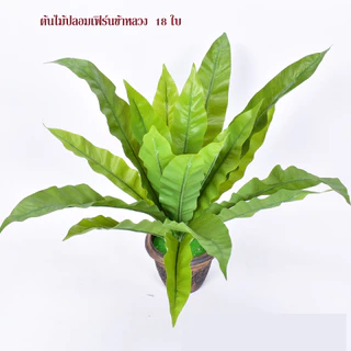 FE-04*พร้อมส่ง*ต้นไม้ปลอมเฟิร์นข้าหลวง 18 ใบ สูง 52 ซม.