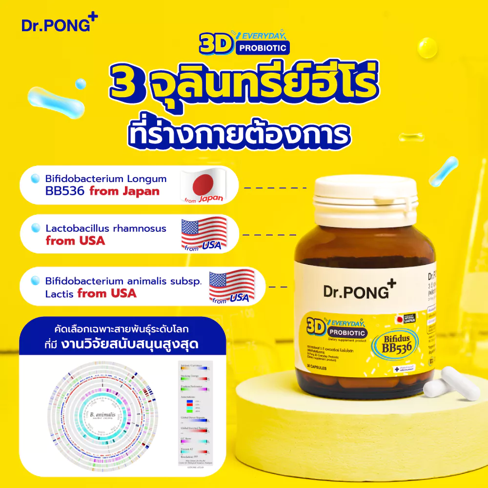[ช้อปครบ รับฟรี]  Dr.PONG 3D EVERYDAY PROBIOTIC ปรับสมดุลลำไส้ บำรุงผิว เสริมระบบภูมิคุ้มกัน thumbnail 3
