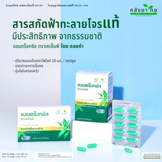 แอนดร็อกซิล Androxil  ดอยคำ  ฟ้าทะลายโจรสกัด 20 มก. (1 กล่อง : 10/50 แคปซูล) [พร้อมส่ง-ตรงร้านยา]