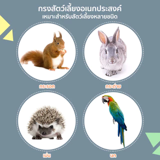 Petcho กรงกระต่าย กรงกระรอก กรงกระต่ายขนาดใหญ่ กรงนก หนูแกสบี้ กรงแกสบี้ กรงสัตว์เลี้ยงอเนกประสงค์ ตาข่ายเหล็กเข้ารหัส