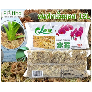 สแฟกนั่มมอส(Sphagnum moss) 12L 120กรัม เกรดAAA