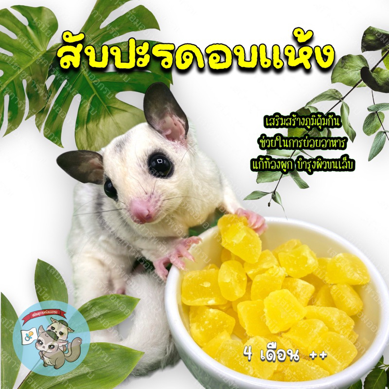 ( สับปะรดอบแห้ง ) PINEAPPLE สับปะรด ผลไม้อบแห้ง ผลไม้รวม อบแห้ง อาหาร ขนม ชูการ์ กระรอก ดอร์เมาส์ แฮ