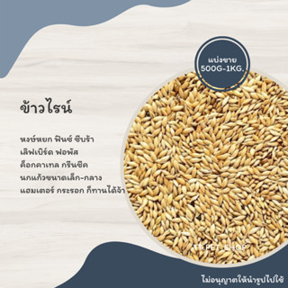 ข้าวไรน์ (แบ่งขาย 200-500G.)