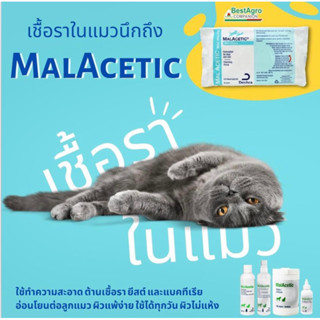 MalAcetic Wet Wipes 24 แผ่น มอลอะซิติก เว็ทไวพส์ ผ้าเปียกเช็ดทำความสะอาด  สำหรับสุนัขและแมว