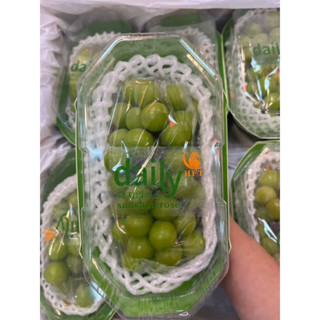 ‼️ส่งฟรีแช่เย็น‼️ 🍇องุ่นไซมัสคัส นกแก้ว 6 แพ็ค หวานหอม